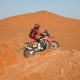 12. Etappe der Dakar 2020